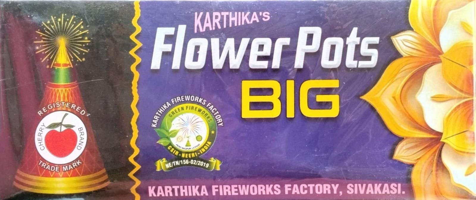 FP Big (10 Pcs)